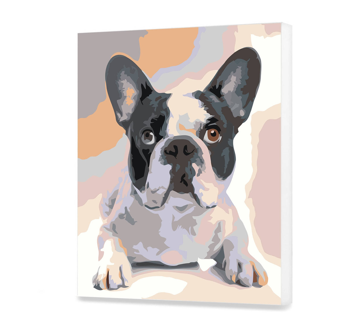 French Bulldog Paint by Numbers for Adult Malować po numerach Craft Stories