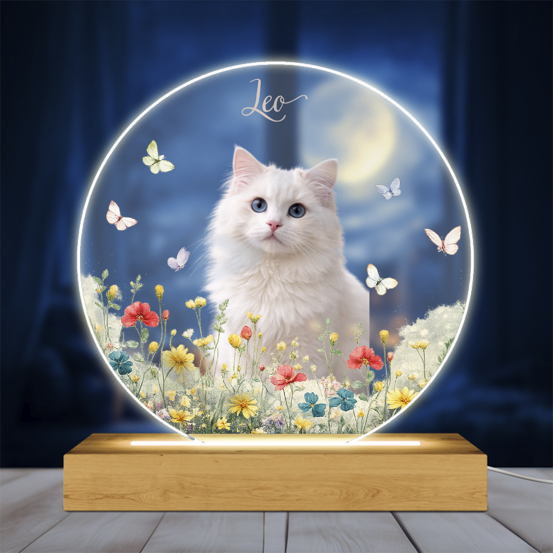 Personalizowana lampka LED z kotem – Światowy Dzień Kota