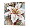 Lilia CDC0184