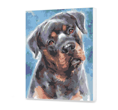 Rozmarzony rottweiler AS0437