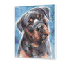 Rozmarzony rottweiler AS0437