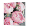Różowe Piwonie CH0825