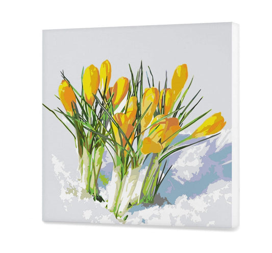 Krokusy w śniegu CH0814