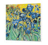 Iris Van Gog PC0612