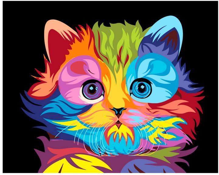 Kolorowy Kotek