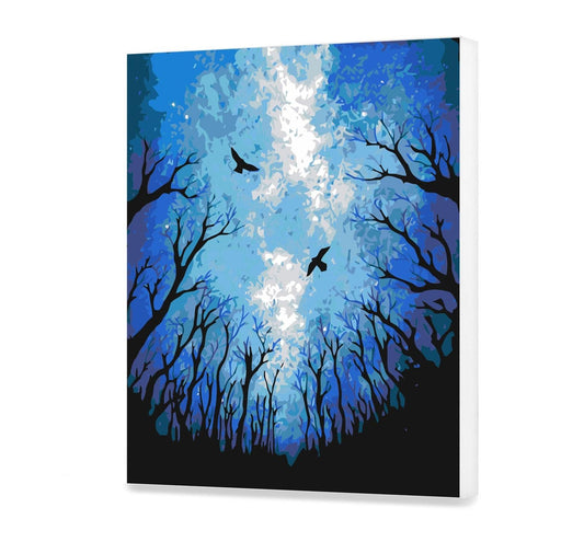 Nocne niebo w lesie SC0759