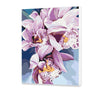 Różowa Orchidea SC0894