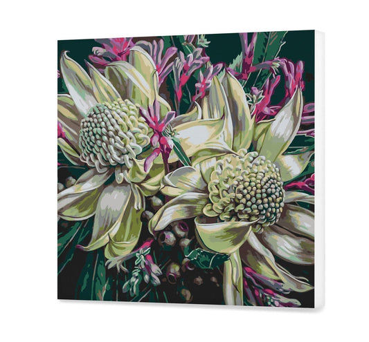 Kwitnący Waratah SC0896