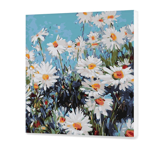 Kwiaty Rumianku HP0416