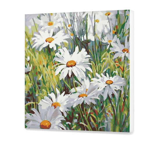 Dzikie Rumianki HP0362