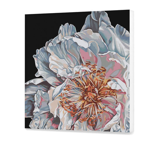 Biała piwonia SC0805