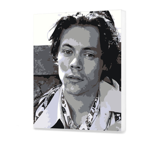 Harry Edward Styles HP0528