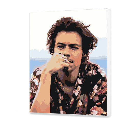 Harry Styles HP0527