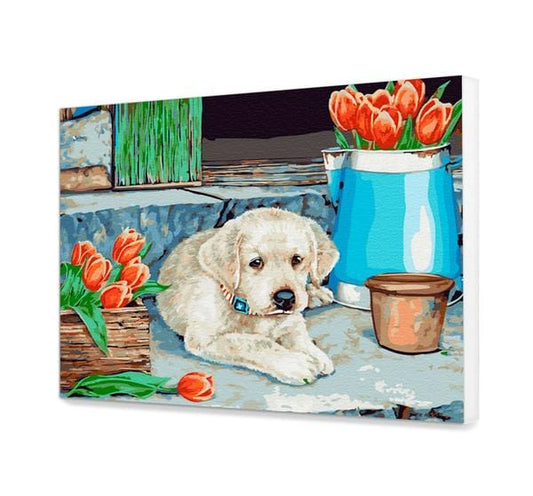 Szczeniak labradora GX21481