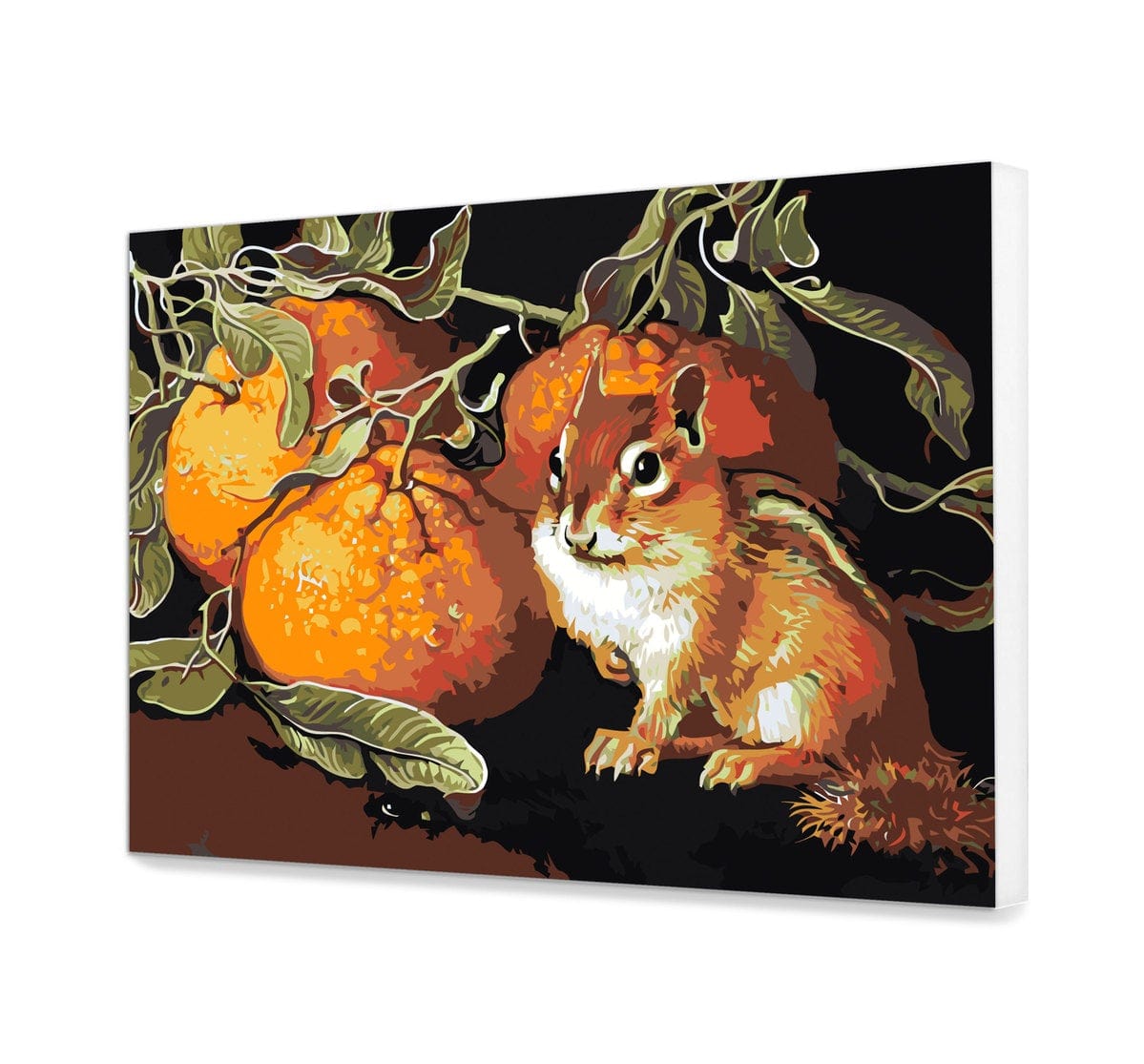 Wiewiórka I Pomarańcze HP0008