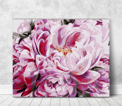 Różowy Kwiat Piwonii HP0171