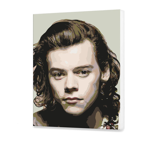Harry Styles HP0529