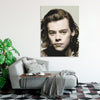 Harry Styles HP0529
