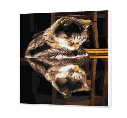 Kot we własnym odbiciu