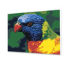 Kolorowa Papuga NK0084