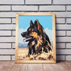 Pies Owczarek NK0456