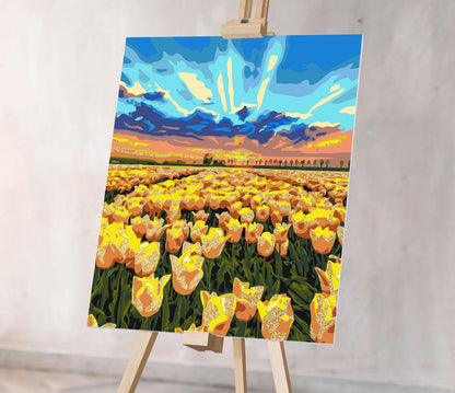 Złote Pole Tulipanów NK0497