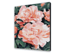 Załaduj obraz do przeglądarki galerii, Róża herbaciana