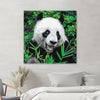 Liczna Panda PC0597