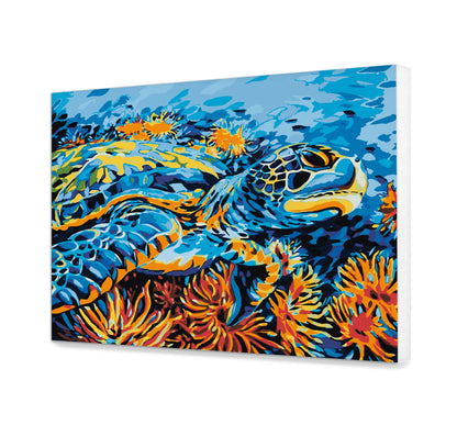 Kolorowe Żółwia RD0084