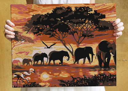 Słonie przy Zachodzie Słońca NK0469