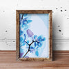 Orchidea NK0065