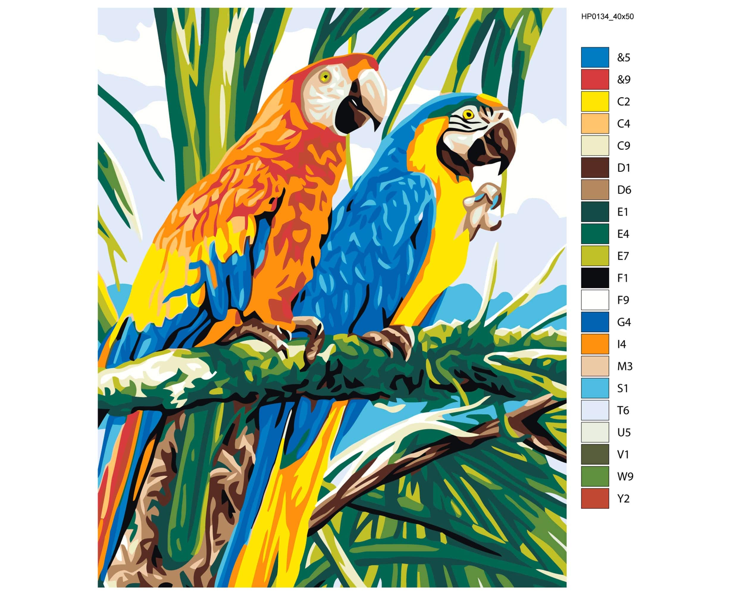 Tropikalne Papugi HP0134