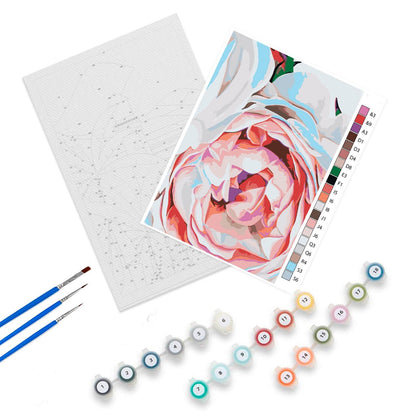 Kwiat Piwonii PN0095