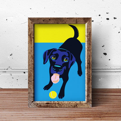 Pies Gra Z Piłką NK0196