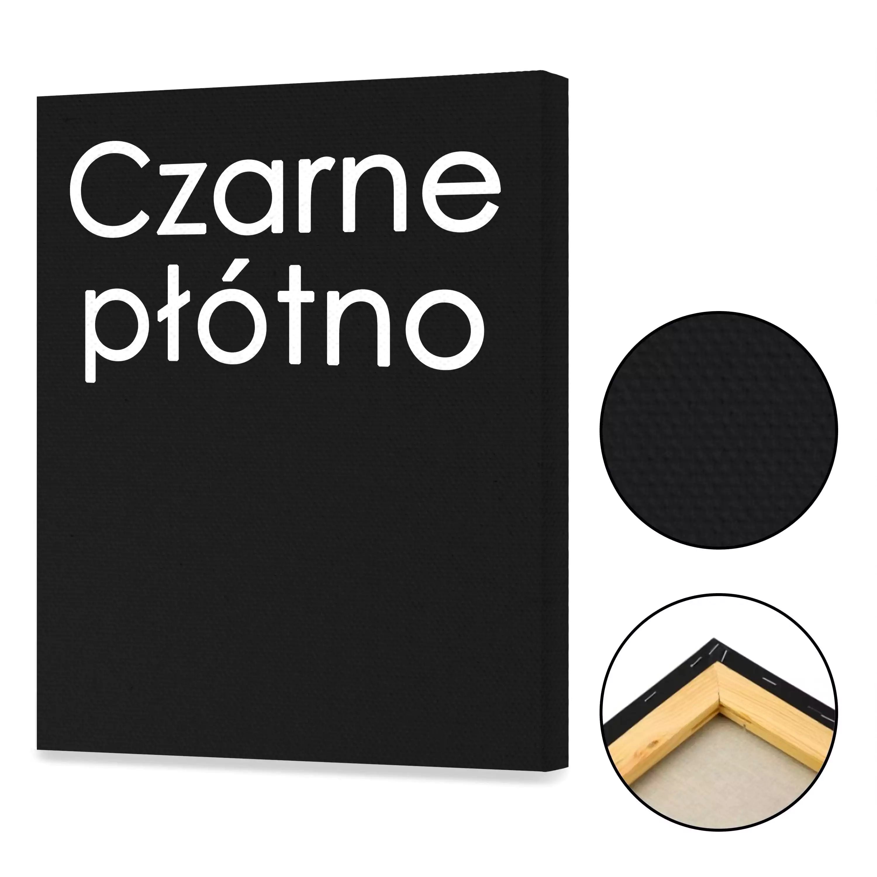 Piwonia na Czarnym tle